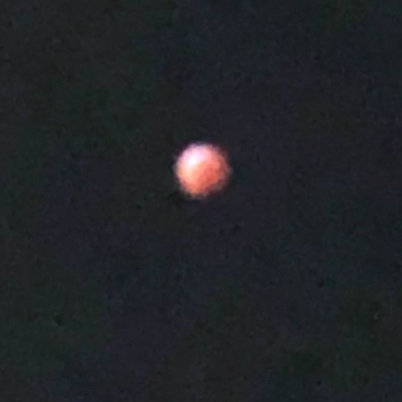 Meet your Posher, Randy - Picture 1 of 1